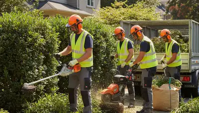 Shrub removal service in Bellevue, NE clearing overgrown shrubs from a residential property
