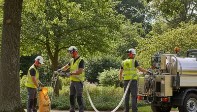 Arbor Tree Care tree fertilizing service in Bellevue, NE to help trees grow stronger and healthier