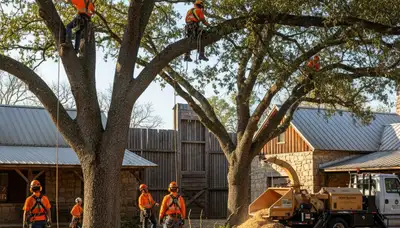 Bellevue, NE tree service crew providing professional tree removal and trimming for homeowners