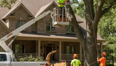 Tree service crew in Bellevue, NE providing professional tree trimming and removal services