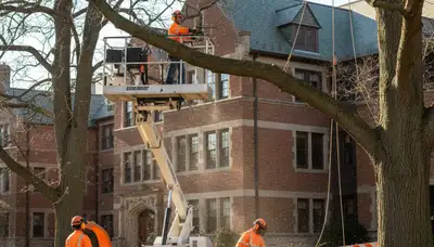Tree service crew in Bellevue, NE providing professional tree removal and trimming services